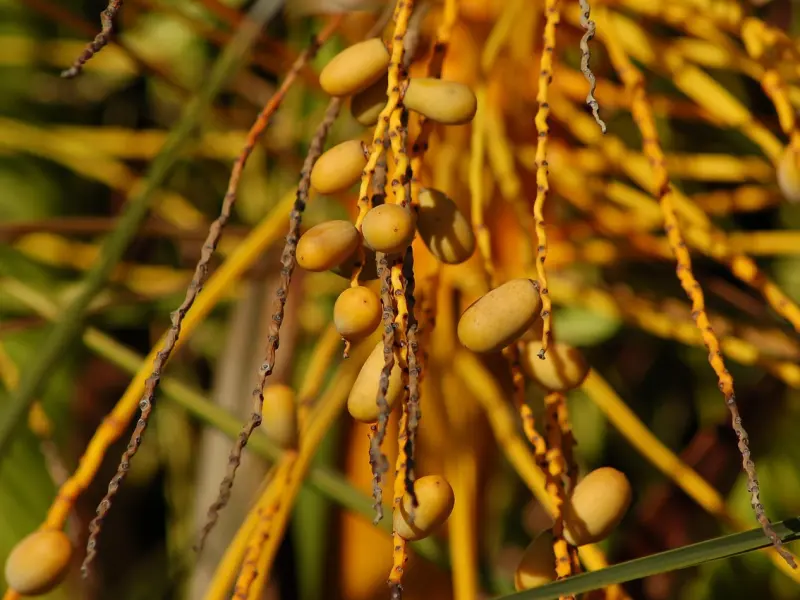 探探上这样聊，每天最少50个配对