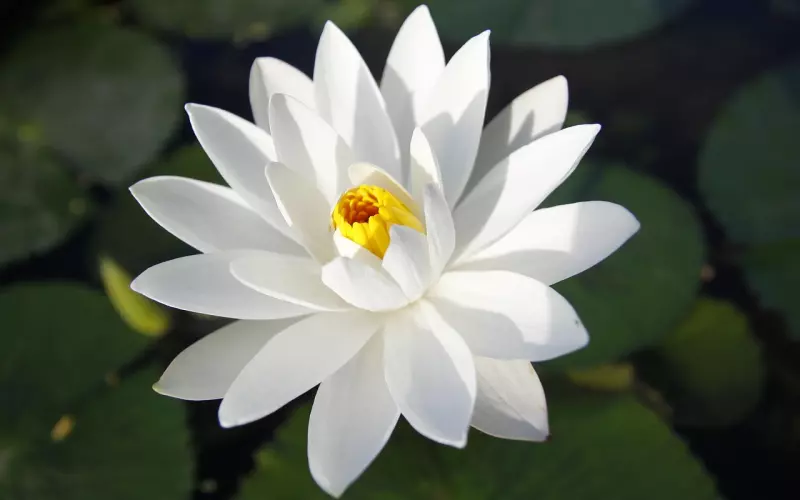 出轨？冷bl？宋慧乔宋仲基提出离婚申请