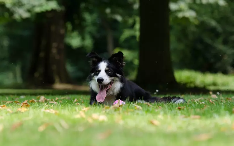 盘点男人说分手最常用的谎言与借口
