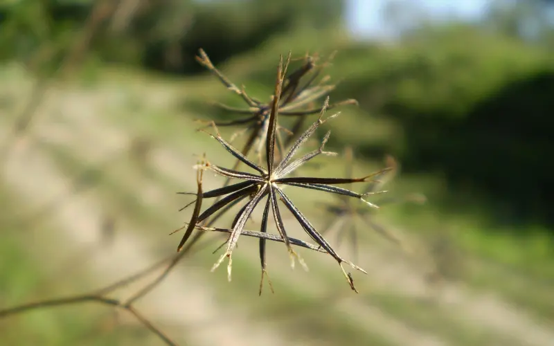 幸福找我干杯，我干不干？