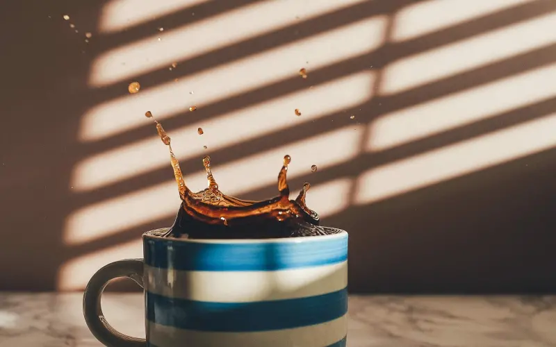 拥有时珍惜，回忆时无悔