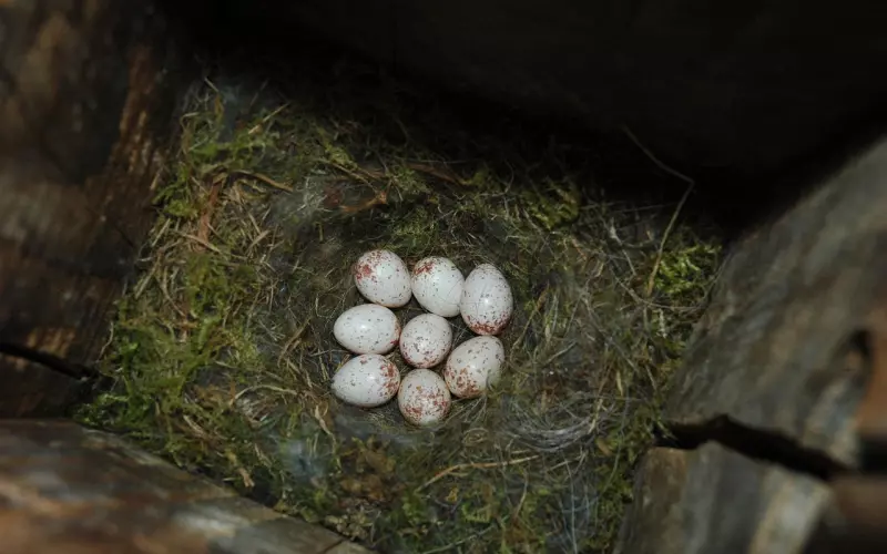 珍惜，下辈子不一定再遇上！