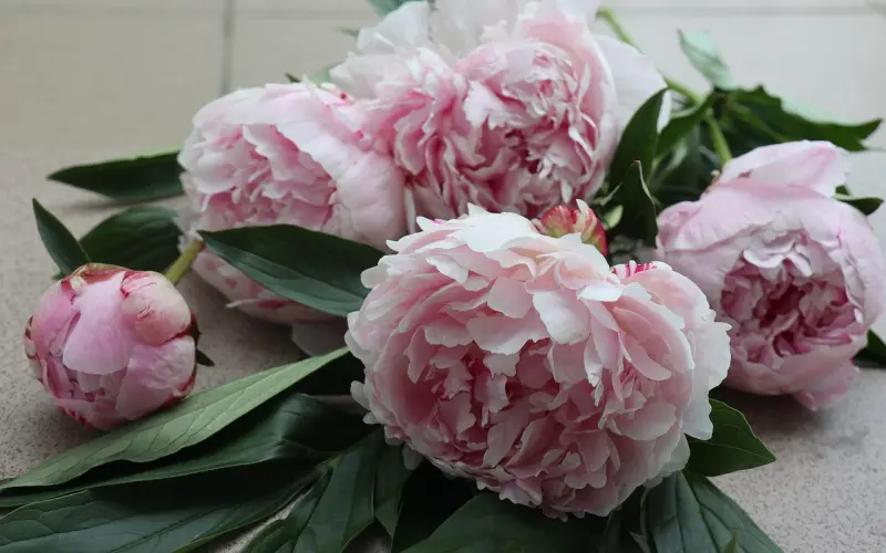 珍惜身边那个默默为你付出的人