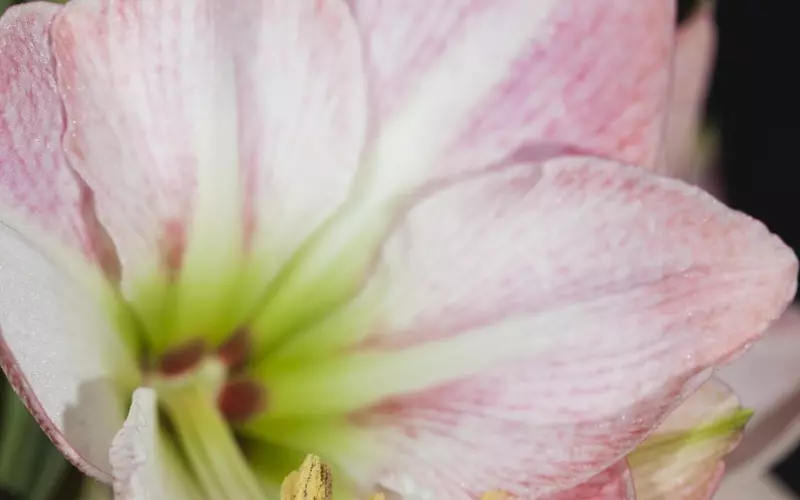 “儿孙自有儿孙福”，它的下句才是精华，可惜少有人知