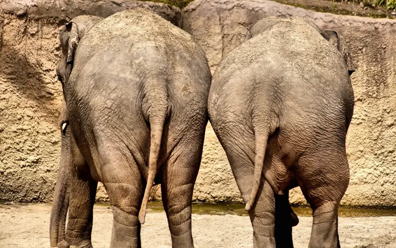 【中青视野大讲堂走进南昌】两个人在一起恋爱的目的是为了什么？