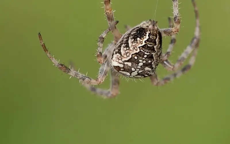 【中青视野大讲堂走进南昌】15日百合网特约专家判答，带你详解男女差异啦！
