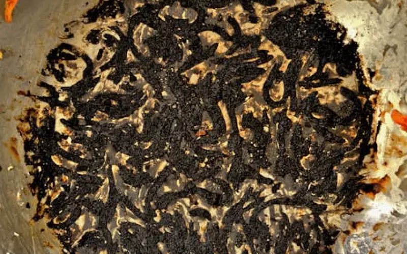 『巧克力必打佛』2545阿赞哇啦/阿赞wala泡油版