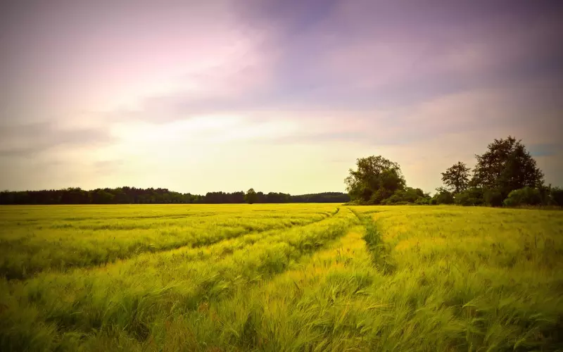 初夏：不祈求，不纠缠，快速挽回女生！