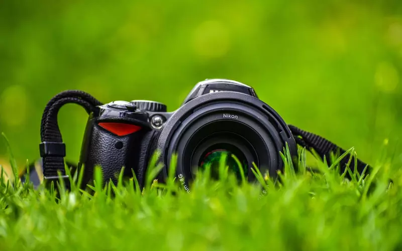 追回前男友的经典表白