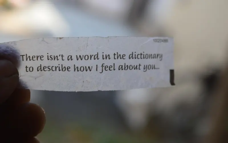 经典爱情语录：12句暖心情话，表白专用！