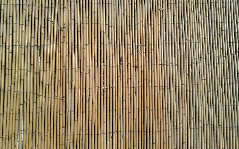 经典个性说说超拽霸气，总有一句戳中你！