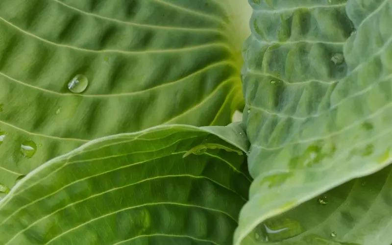 感悟人生的经典哲理短句，朋友圈唯美语录句子