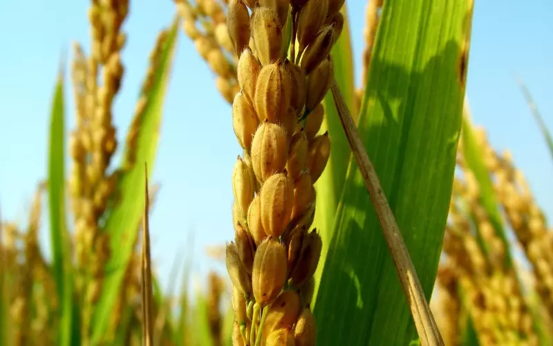 挽回前男友清晰的收思路让你找回真爱