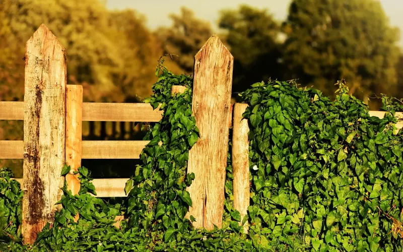 先清理这个相处障碍，前任逃不出你的手掌心