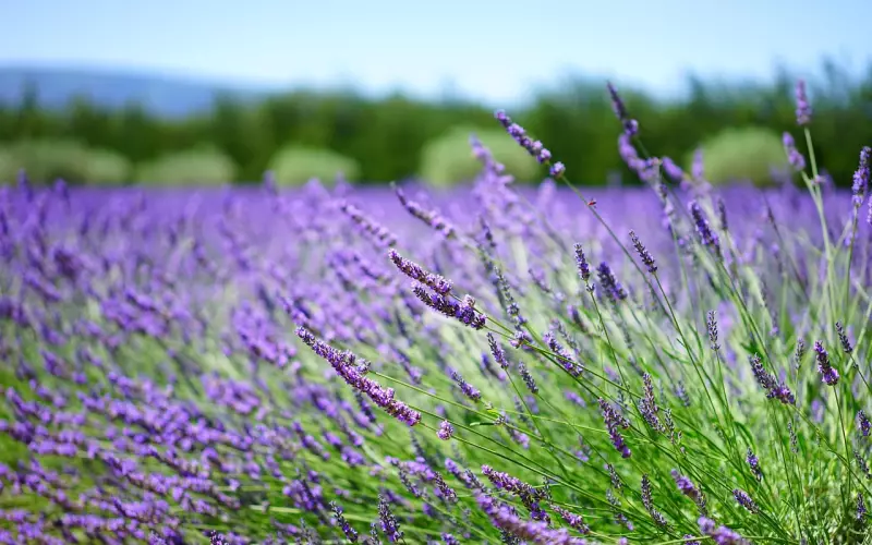 衣品 ——说起提升，穿衣搭配是一个。