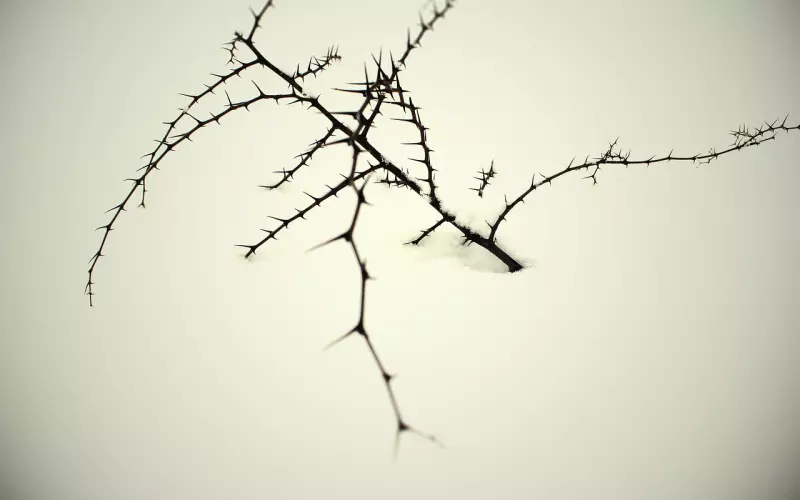 冷爱支招：释放可得性挽回前男友