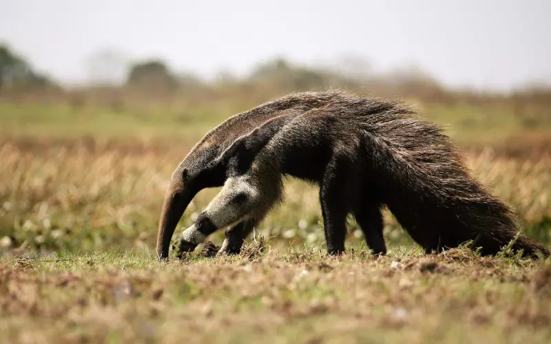 挽回前男友方法集锦：挽回的误区