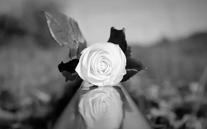 为挽回男友闹自杀，险酿悲剧一场