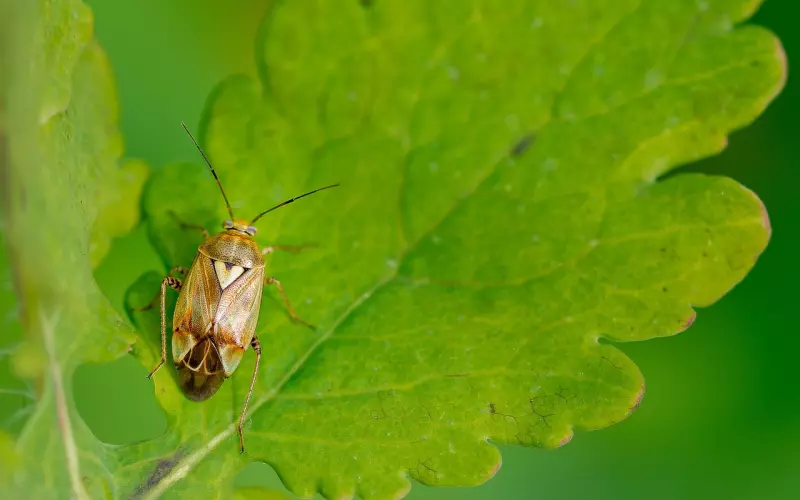 导致挽回爱情失败的常见错误