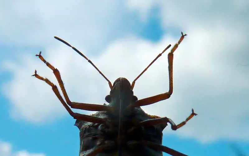 挽回爱情时的常犯的小错误
