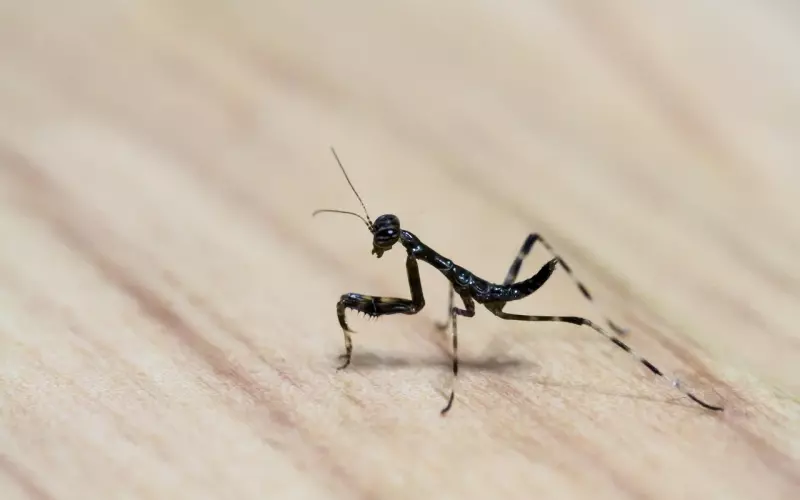 挽回爱情时的常犯的小错误