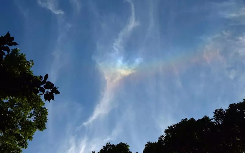 亲密关系中的沟通，不是为了争论对错