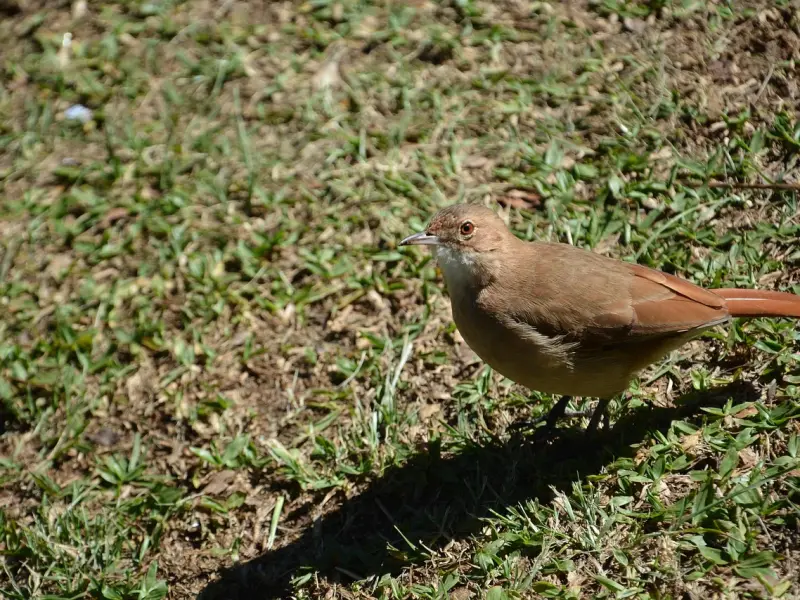 挽回男友的沟通技巧，你知道？