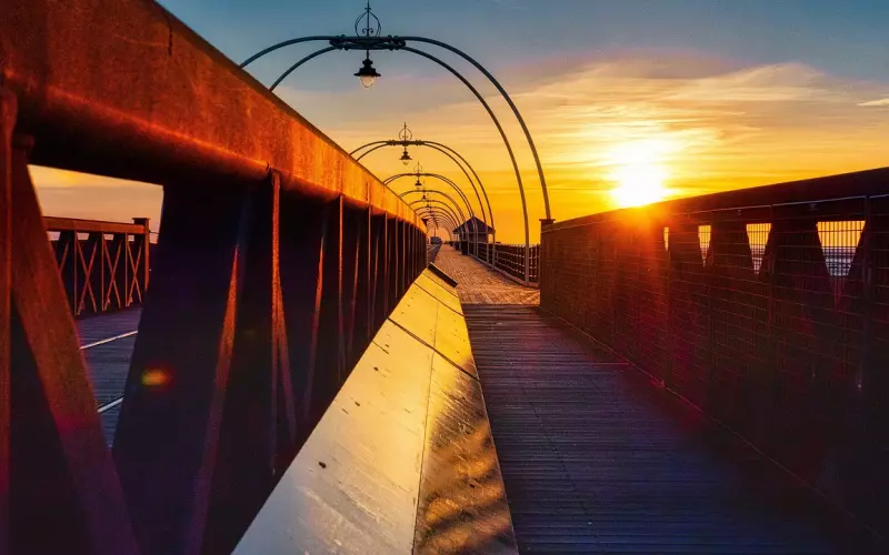 陪伴，是最长情的告白！