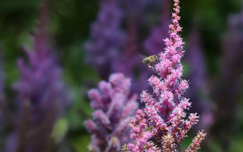 挽回男友全攻略
