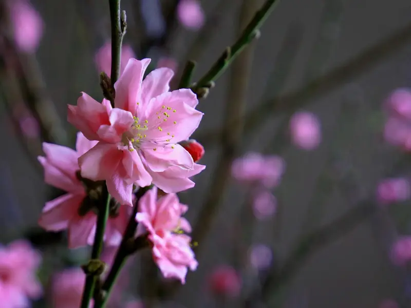 一个恋爱12年分手女孩的忏悔：“爱得越满，受的伤越深！”