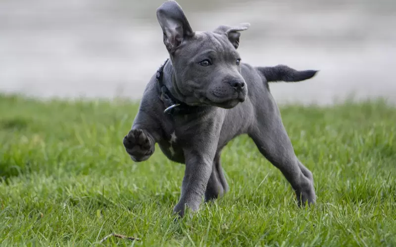 一位挽回小伙的告白