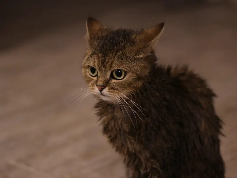 倾诉：喜欢的女孩对我没有好感，该怎么办？