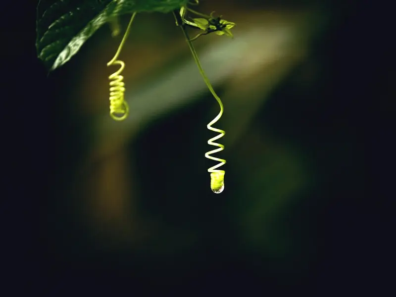 闹矛盾冷战导致失望分手，还能挽回吗？