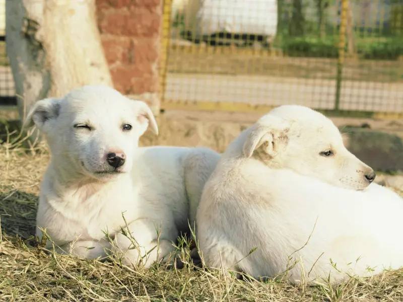 婆媳矛盾：如何处理好婆媳关系