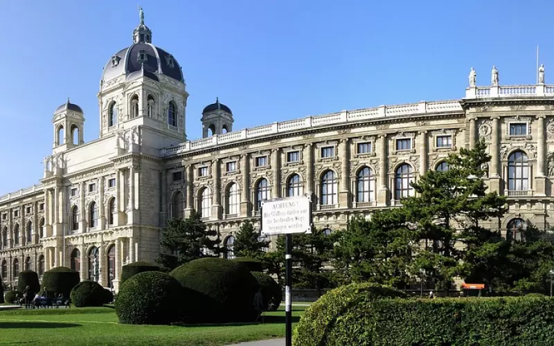 咨询格式以及注意事项