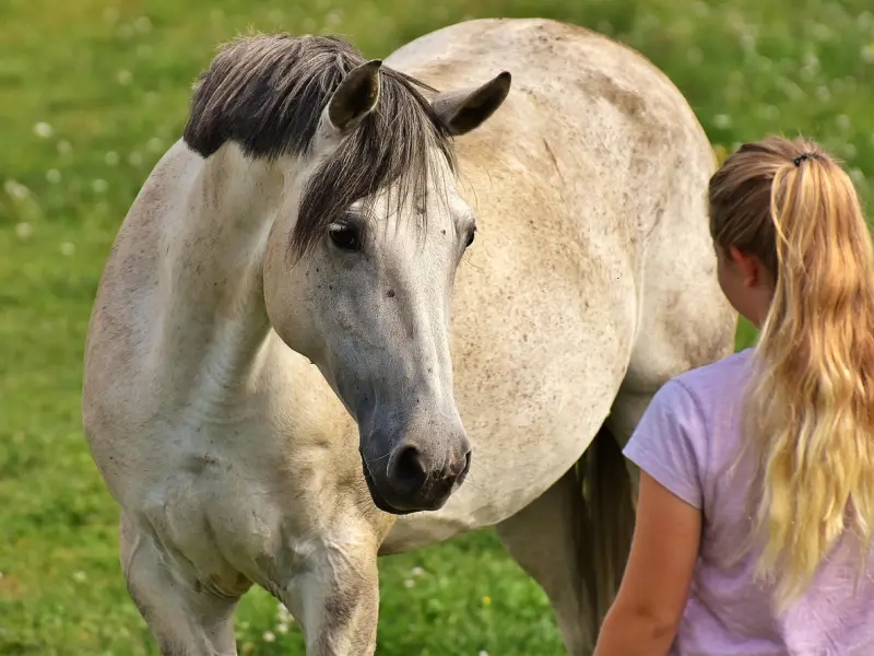 挽回时控制好这一点，让前任对你彻底改观，对你的爱，更胜从前