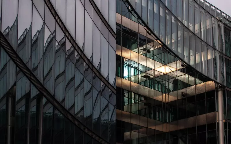 咨询体会：飞飞反思（挽回男友）