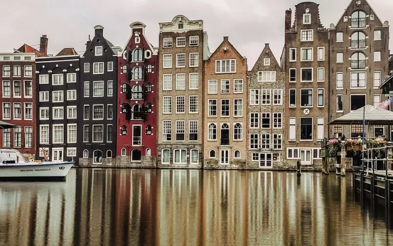 咨询体会：麦兜反思（挽回男友）