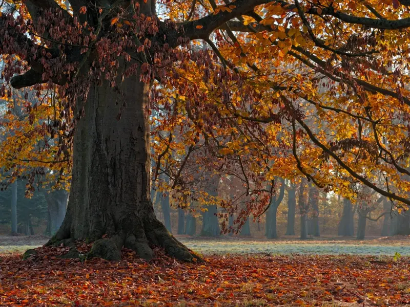 前任挽回咨询：只有这三种情况，男人才会说真话