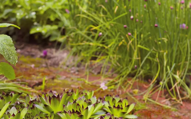 细数那些网易云音乐热评：灵魂的碰撞共鸣（值得收藏）