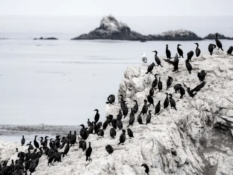 【课程预告】周六晚20点30---爱情长久的秘密