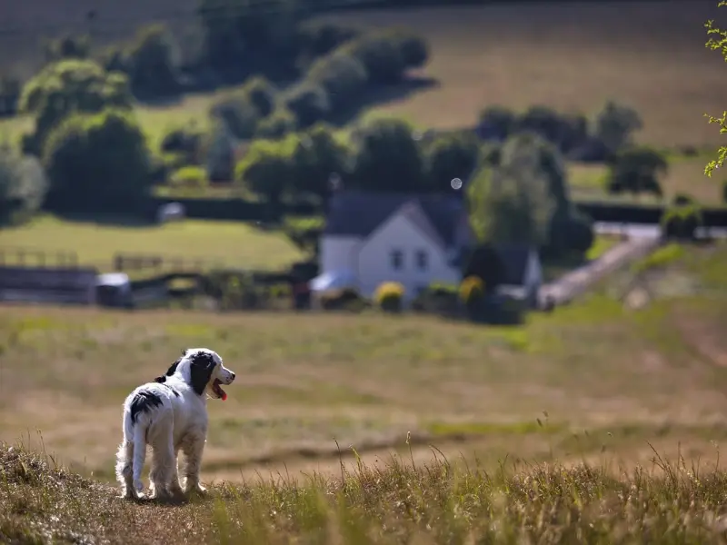 【课程预告】周四晚21点---如何成为女人眼中唯一的男人