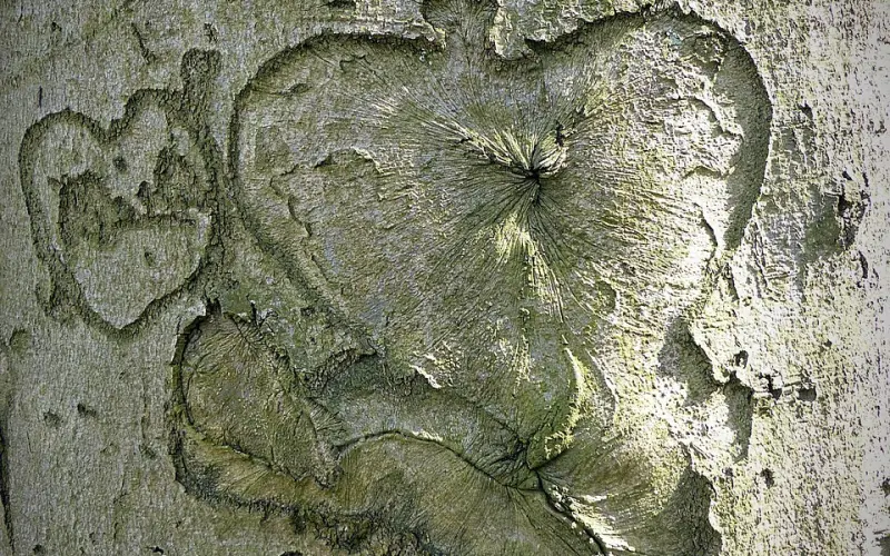 【壹号法庭】恋爱时的“忠诚协议”能不能当真？