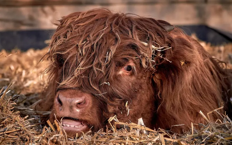 【壹号法庭】恋爱期间房产证加名会产生什么后果