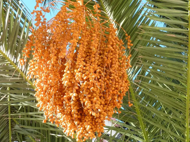 【一号法庭】好心为男友担保却让她官司缠身