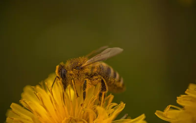 跨越-工作中的负能量