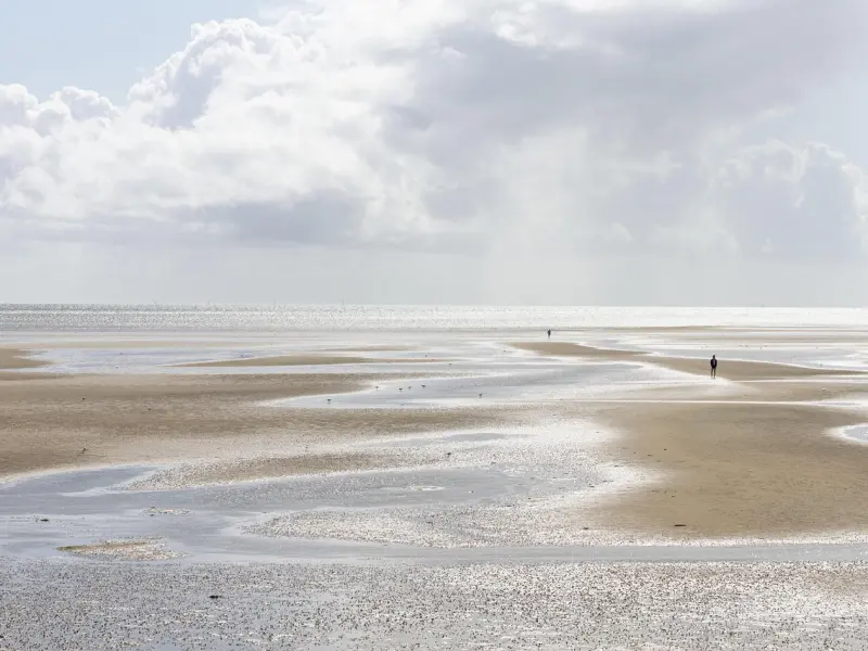 婚姻挽回专家崔永福说：“如果你不用心好好的经营婚姻、可将来会用十倍以上的精力去挽救婚姻！”夫妻关系、婆媳关系一对一跟进咨询！