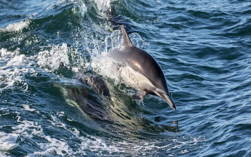 原生家庭问题的客户反馈——挽回调解婚姻夫妻感情咨询、婆媳矛盾咨询、家庭纠纷咨询。专家在线一对一跟进式咨询服务。