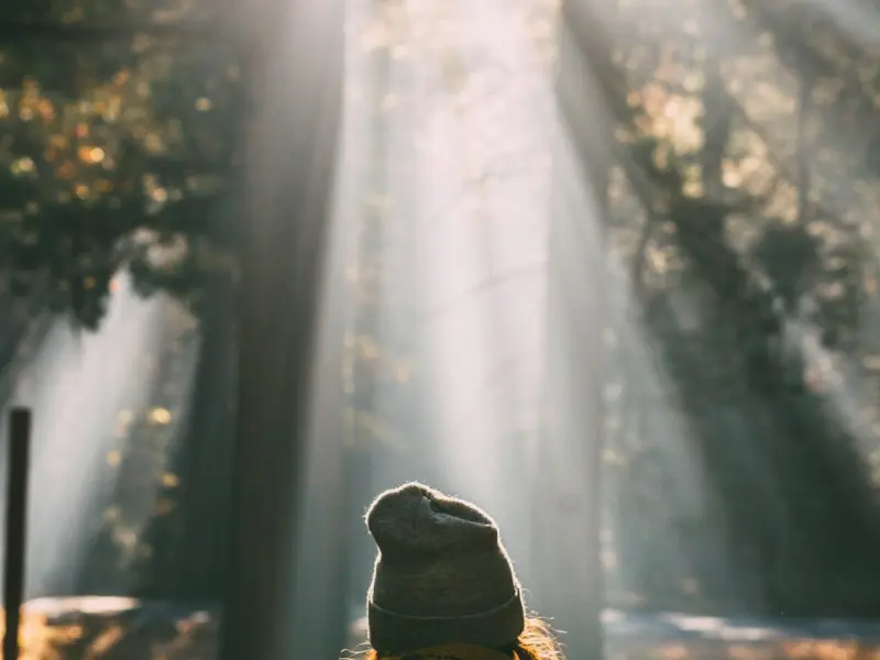 大白分手治愈文14|失恋之后觉得自己是个“爱无能”