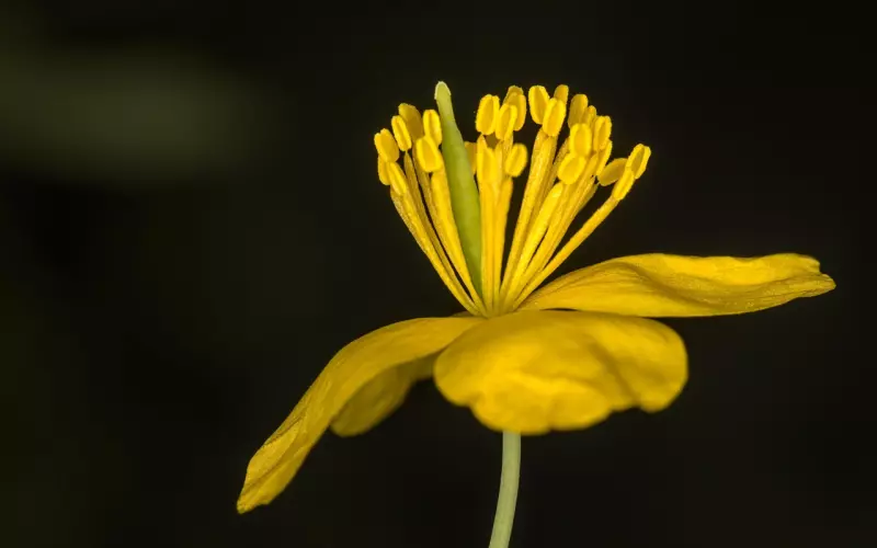 大白分手治愈文【6】分手后离开ta我要怎么活？